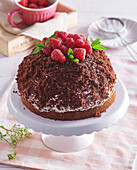 German raspberry mole cake