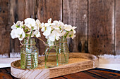 Weisse Wicken in 3 kleinen Vasen auf einem Holztablett (Vicia)