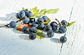 Sloes on a white wooden background