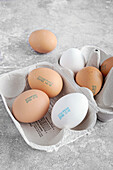 Weiße und braune Eier im Eierkarton mit Stempelaufdruck