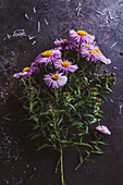 Kornblumenstrauß (Centaurea cyanus)