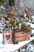Winter decoration with wooden box, holly, straw stars and lantern in the snow