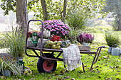 Summer collection on wheelbarrow