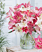 Orientalische Lilie (Lilium oriental), pastellfarbener Blumenstrauß