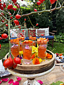 Teegelee mit Kürbis und Hagebutte auf herbstlich gedecktem Tisch im Garten