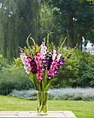Gladiolen (Gladiolus), lila und rosa Mischung