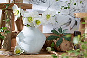 Nieswurz (Helleborus), Blüten in Vase