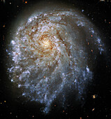 Spiral galaxy NGC 2276, HST image