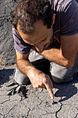 Palaeontologist pointing to fossilized bone fragments