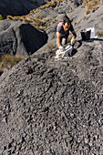 Palaeontologist preparing sample containing fossils