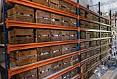 Storage of fossil specimens