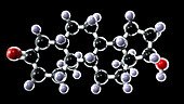 Androstanolone, molecular model