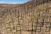 East Troublesome Fire, Colorado, USA, aerial photograph