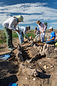 Archaeological dig at Japanese internment camp