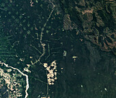 Deforestation in Tierra Bajas, Bolivia, satellite image