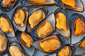 Open shells of cooked foraged wild mussels