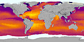 Global sea surface salinity, 2011-2021