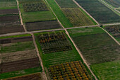 Agricultural fields, aerial photograph