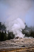 Old Faithful geyser, Yellowstone National Park, USA