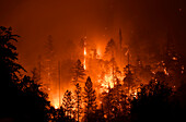 Rum Creek Fire, Oregon, USA