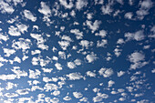 Cirrocumulus clouds