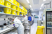 Researchers working in a cancer research laboratory