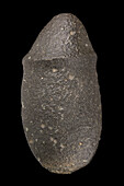 Throat of an axe in basalt