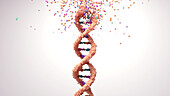 DNA disintegrating, conceptual illustration