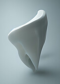 Tooth, illustration