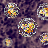 Nanoparticles in drug delivery, conceptual illustration