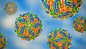 West Nile virus particles, illustration