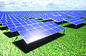 Solar farm, illustration