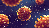 Coronaviruses and antibodies, illustration
