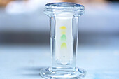 Paper chromatography