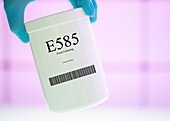 Container of the food additive E585