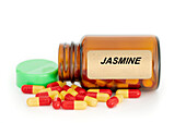 Jasmine herbal medicine, conceptual image