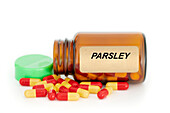 Parsley herbal medicine, conceptual image