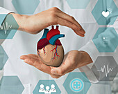 Heart health, conceptual image