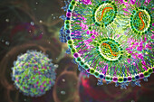 Lipid nanoparticle mRNA vaccine, illustration