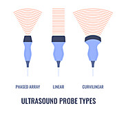 Ultrasound probe types, illustration