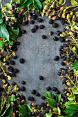 Blackberries as a frame