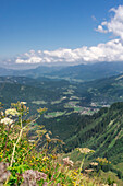 Kleinwalsertal (View from Walmendinger Horn, Austria)