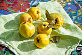 Freshly harvested quinces on a green cloth on an outdoor table