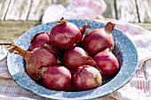 Red onions on a blue tin plate on a wooden table