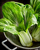 Fresh bok choy in a colander