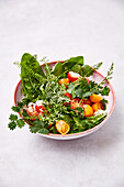 Wild herb salad with tomato and apple dressing