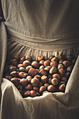 Hazelnuts in an apron