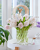 Hyazinthe (Hyacinthus) 'China Pink' Blumenstrauß