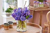 Hyazinthe (Hyacinthus) Strauß 'Purple Star', 'Delft Blue'