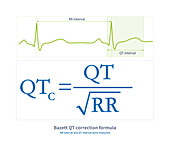 Bazett QT correction formula, illustration